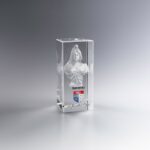 Trophée en Verre Marianne avec marquage couleur des armoiries de la ville