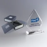 Trophée en verre en forme d’iceberg, personnalisé avec un logo et le texte “Projet Innovation Sociale”.